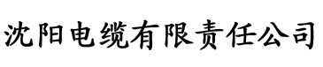 亚洲精区二区三区麻豆电缆厂logo